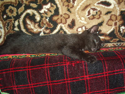 IMGP0030.JPG