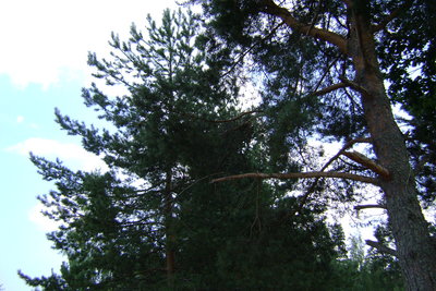 DSC01426.JPG