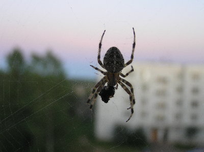 09.08.JPG