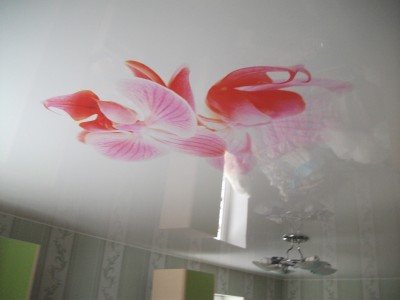 DSCF2539.JPG