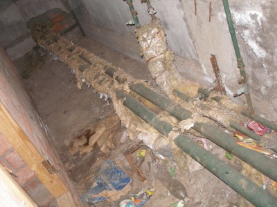 PC260236.JPG