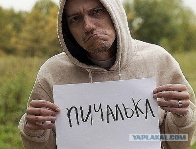 502535.jpg