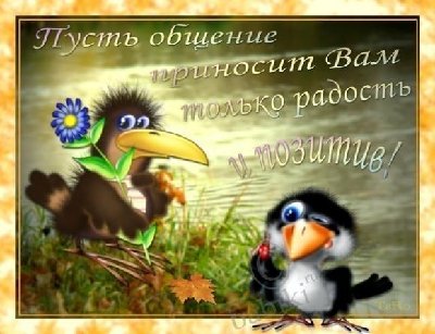 110c2cfde9.jpg