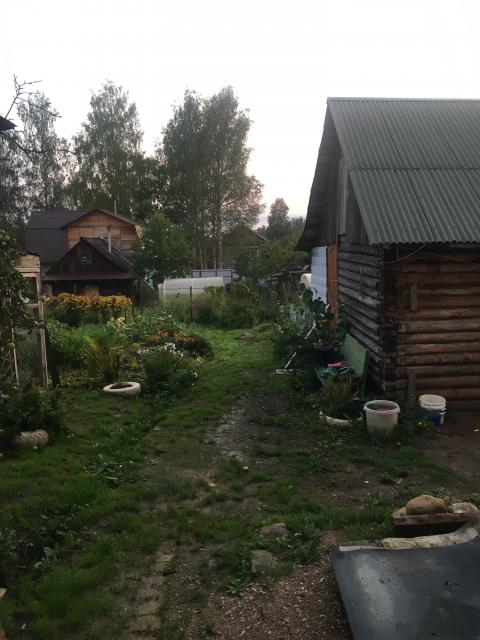 черн5.jpg