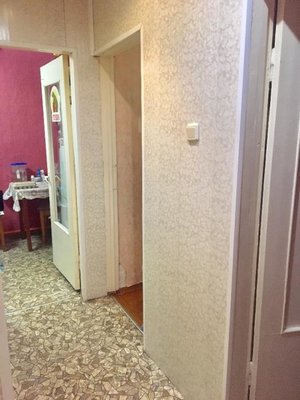энт7.jpg