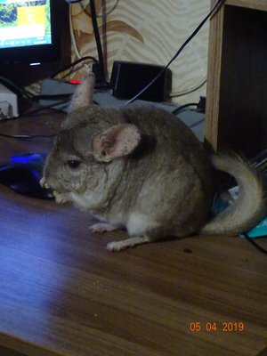 ckA9AxgQT80.jpg