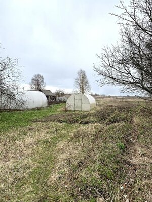д.нов9.jpg