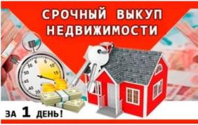 куп.jpg