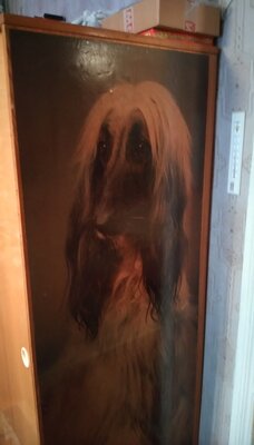 IMG_20220128_153733.jpg