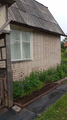 IMG_20240620_090717.jpg