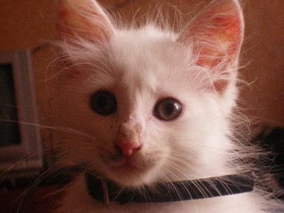 IMGP2438.JPG