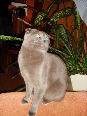DSC08760.jpg