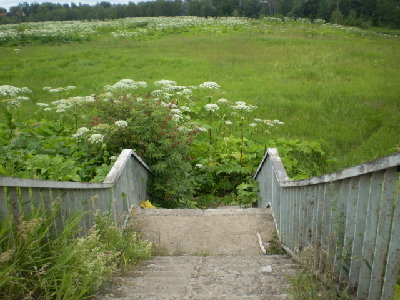 P7020088.jpg