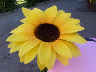 S10343171.JPG