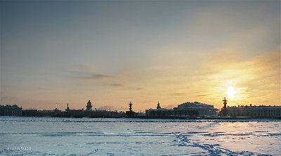 IMG_1723.jpg