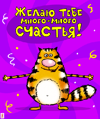31.gif