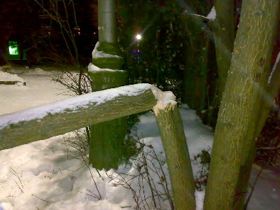24122008157.jpg