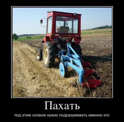 y_6d3768fe.jpg